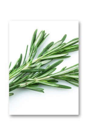 rosemary