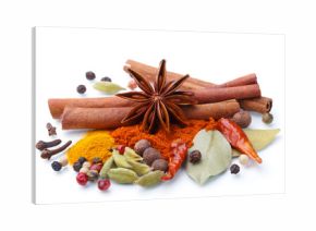 Gewürze - Freisteller - isoliert - weißer Hintergrund