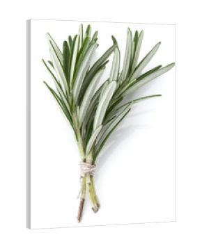 rosemary herb spice leaves isolated on white background cutout