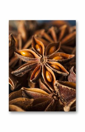 Organic Dry Star of Anise