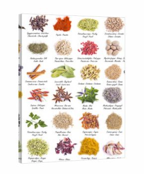 Colección de hierbas y especias aisladas sobre un fondo blanco