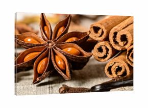 dried herbs on wooden table