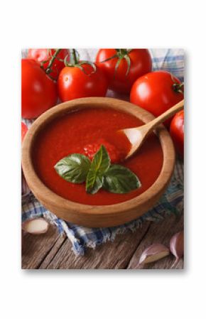 Homemade tomato sauce with garlic and basil closeup. Horizontal  