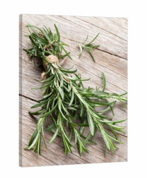 Fresh garden rosemary