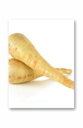 two fresh parsnip roots on a white background