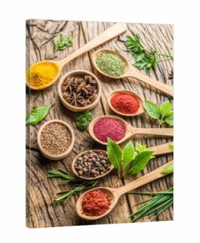 Assortment of colorful spices in the wooden spoons.
