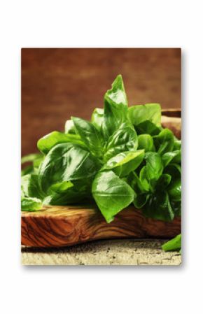 Fresh green basil in olive mortar with pestle, vintage wooden background, rustic style, selective focus