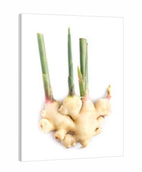 Ginger on white background