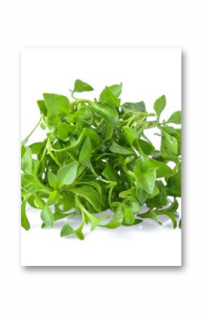 watercress isolated on white background
