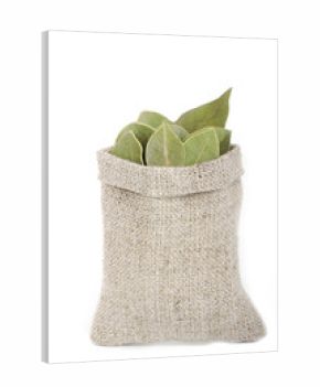 laurel (bay leaf) in sack isolated
