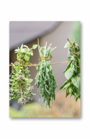 Bundles of flavoured herbs drying on the open air. Nature background.