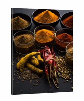 Indian colourful spices. Group photo of four basic Indian spices like raw red chilli, turmeric, coriander and cumin powder. selective focus  