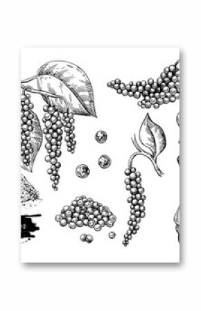 Zestaw rysunek wektor czarny pieprz. Kupa pieprzu, młyn, suszone nasiona, roślina, mielony proszek.