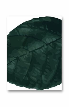 Stylized tropical broadleaf leaf is resting on transparent background, showing textured green veins