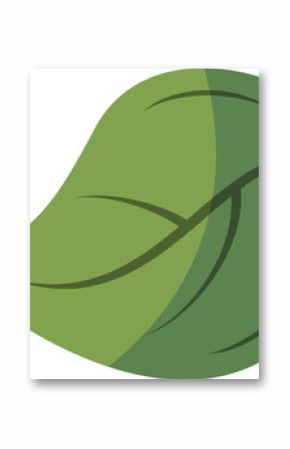 Vector illustration is showing stylized two-tone green leaf with veins on transparent background