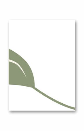 Vector sage green leaf is floating on transparent background, showing white vein and curved stem