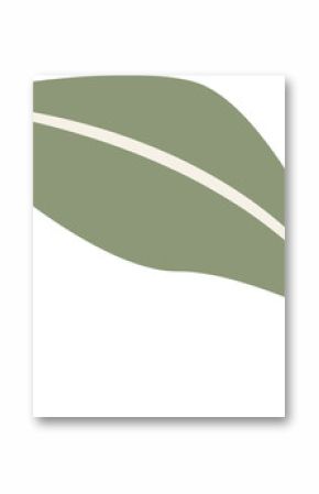 Stylized leaf design is being displayed flat, showing green midrib stripe on transparent background