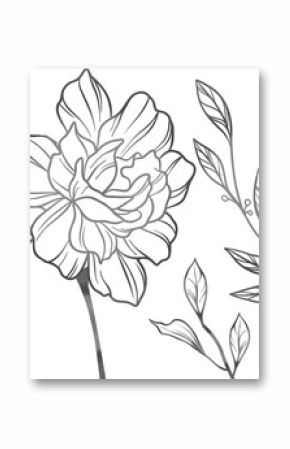 Stylized bloom with stem and leaf sprigs is appearing in line-art vector on transparent background
