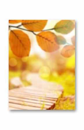 Leaves by boardwalk in autumn