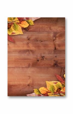 Wooden plank surface is being shown in flat design with autumn leaf clusters and visible seams