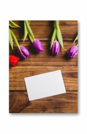 Blank white card is sitting on wooden tabletop in vector style, flanked by colorful tulip stems