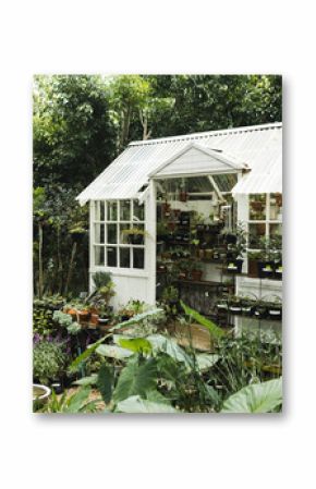 Multiple green plants and leaves in garden and white glasshouse