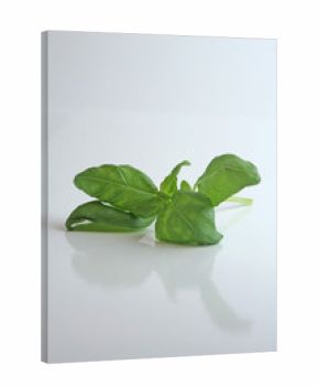 basil