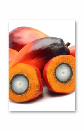 Oil palm fruit