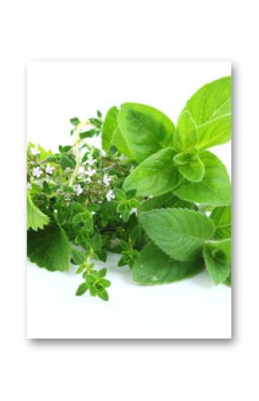 Green herbs