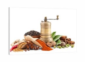 spices and herbs isolated on white