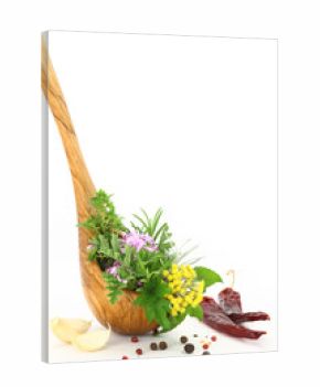 Fresh herbs and spices in wooden spoon