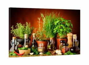 Still life with fresh green herbs and spices