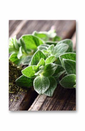 Oregano spices