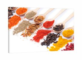 collection of spices on spoons, isolated background