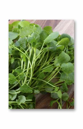 Watercress salad ingredient.