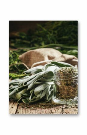Dried sage in a glass jar, fresh sage on the vintage wooden tabl