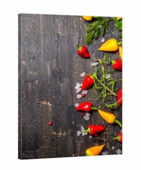 decorative spices, dry peppers, sea salt, different greenery on