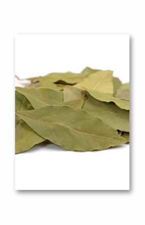 Lorbeerblätter, Echter Lorbeer, Laurus nobilis, Bay leaves