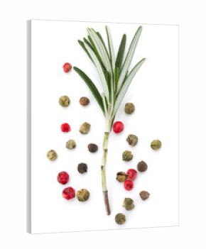 rosemary herb spice leaves and peppercorns isolated on white background cutout
