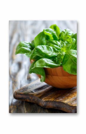 Green basil leaves in a drop of water.