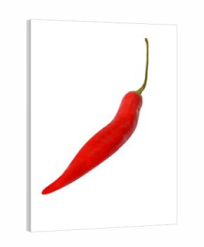 Suszona, czerwona papryczka chili na białym tle