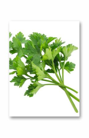 Parsley isolated on a white background