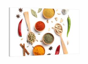 Beautiful composition with different aromatic spices on white background