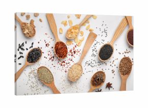 Composition with different aromatic spices in wooden spoons on white background