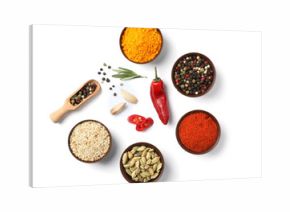 Composition with different aromatic spices on white background, top view