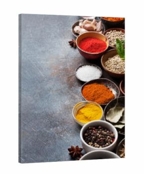 Set of various spices and herbs