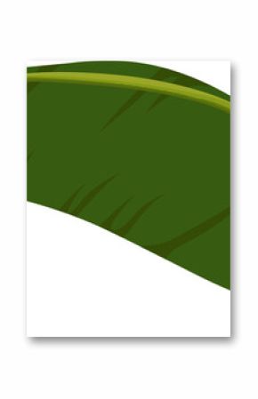 Stylized long green tropical leaf is floating against transparent background, featuring midrib