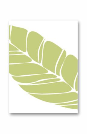 Stylized pale green leaf graphic is curving on transparent background, showing dark vein accents