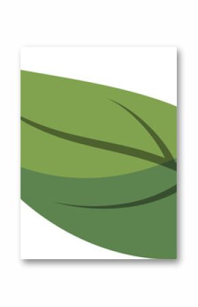 Flat design green leaf is floating on transparent background, showing midrib and vein details