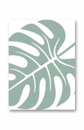 Flat design monstera leaf is floating on transparent background, showing lobed outline and veins